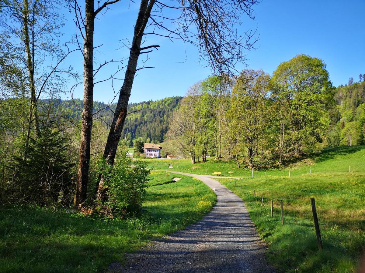 Ferienwohnung B2 Albmatte-FEWO Menzenschwand-Hinterdorf Exterior foto