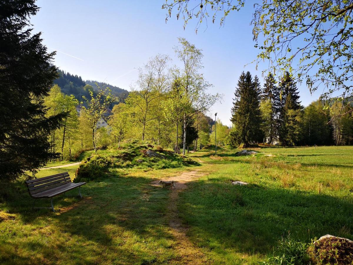 Ferienwohnung B2 Albmatte-FEWO Menzenschwand-Hinterdorf Exterior foto