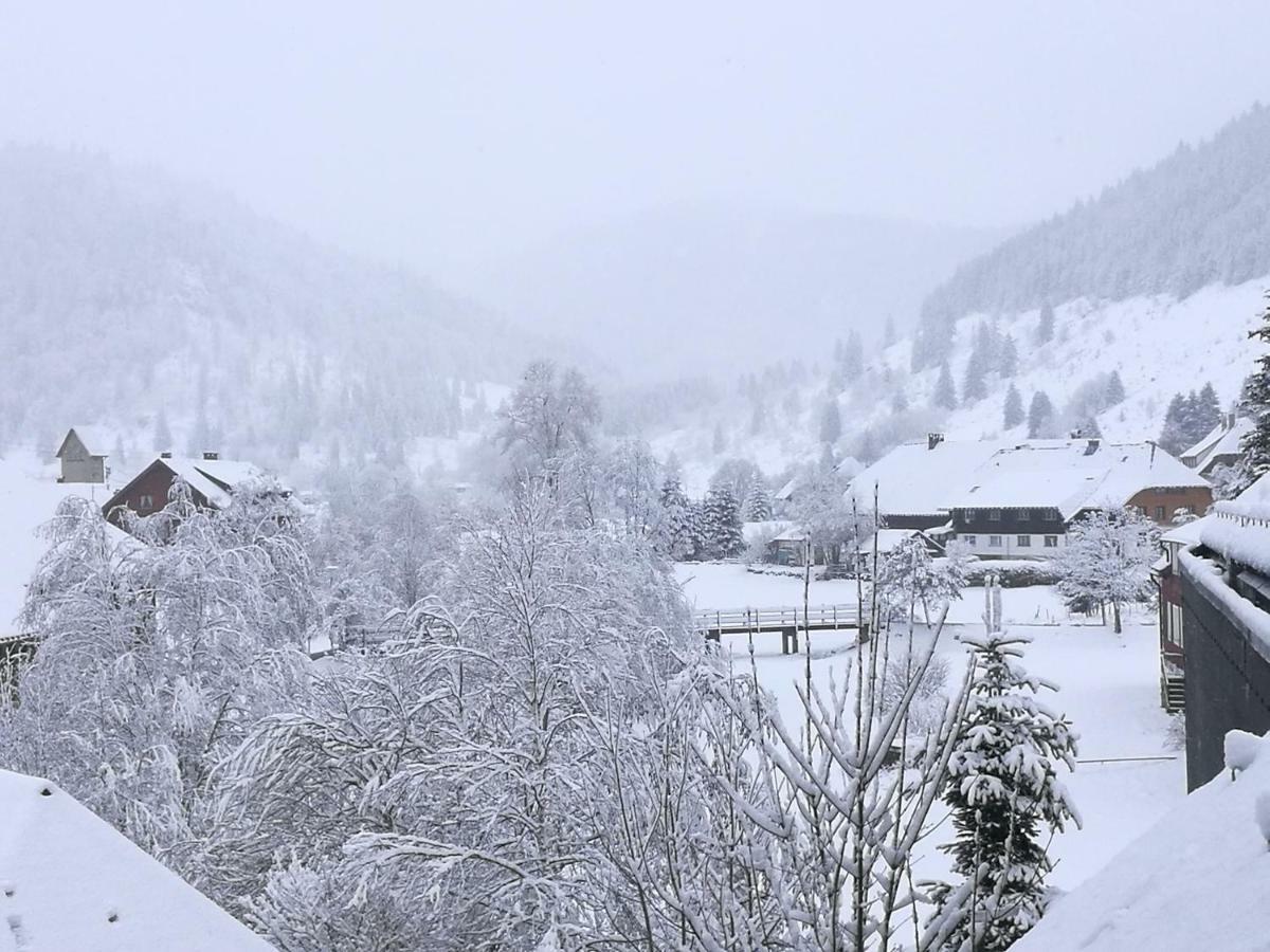 Ferienwohnung B2 Albmatte-FEWO Menzenschwand-Hinterdorf Exterior foto