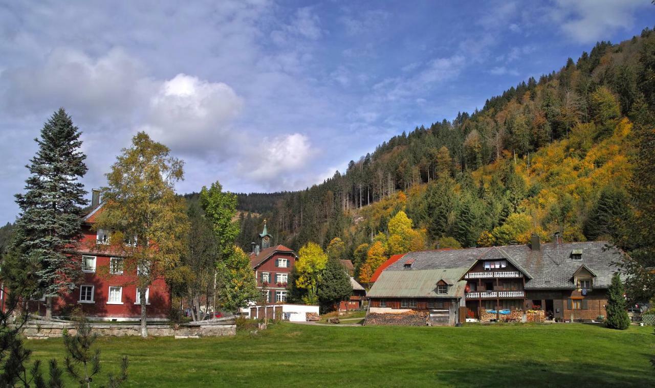 Ferienwohnung B2 Albmatte-FEWO Menzenschwand-Hinterdorf Exterior foto