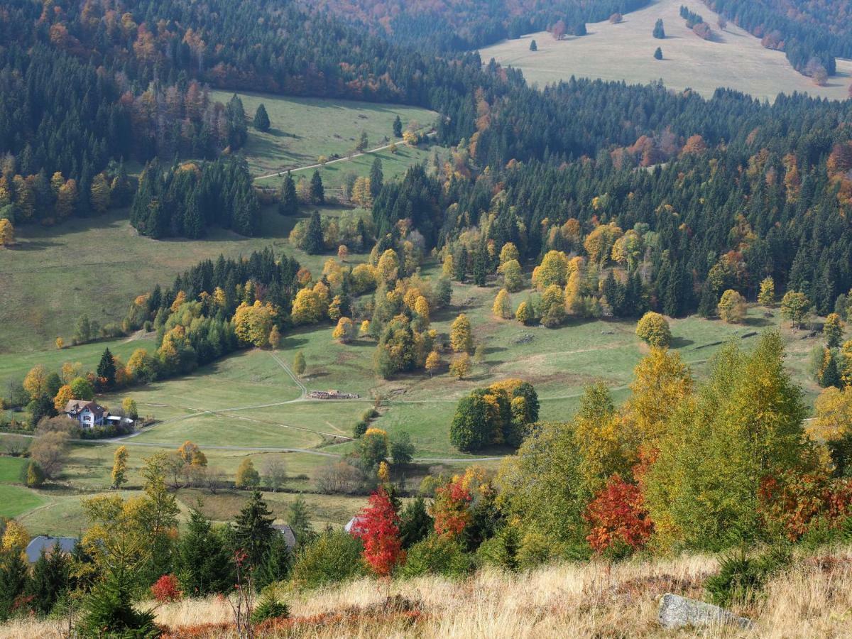 Ferienwohnung B2 Albmatte-FEWO Menzenschwand-Hinterdorf Exterior foto